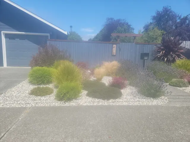 Emerald Roots Landscaping — customer photo 11