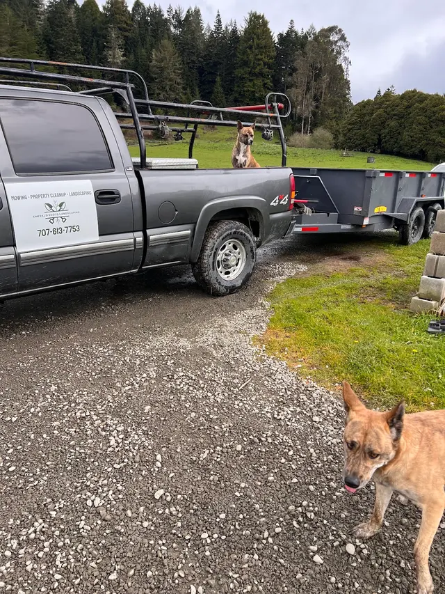 Emerald Roots Landscaping — photo from the business 7