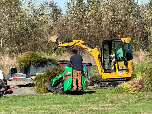 Emerald Roots Landscaping — photo from the business 6