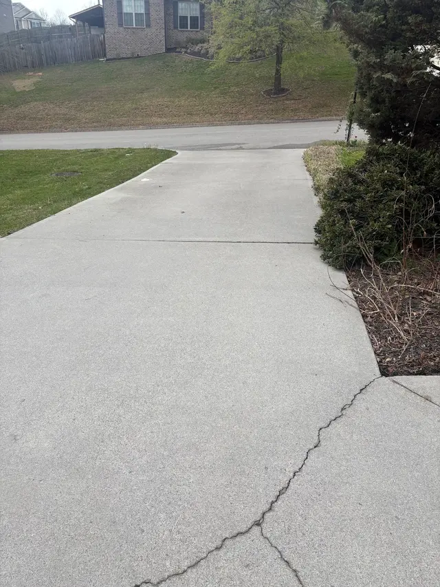 Customer photo from Kelly's review