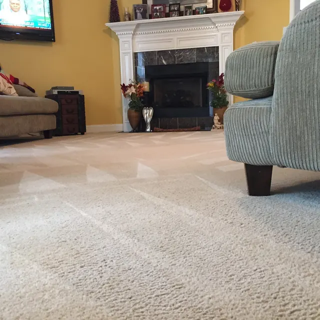 Marshall Cleaning Service — photo from the business 6
