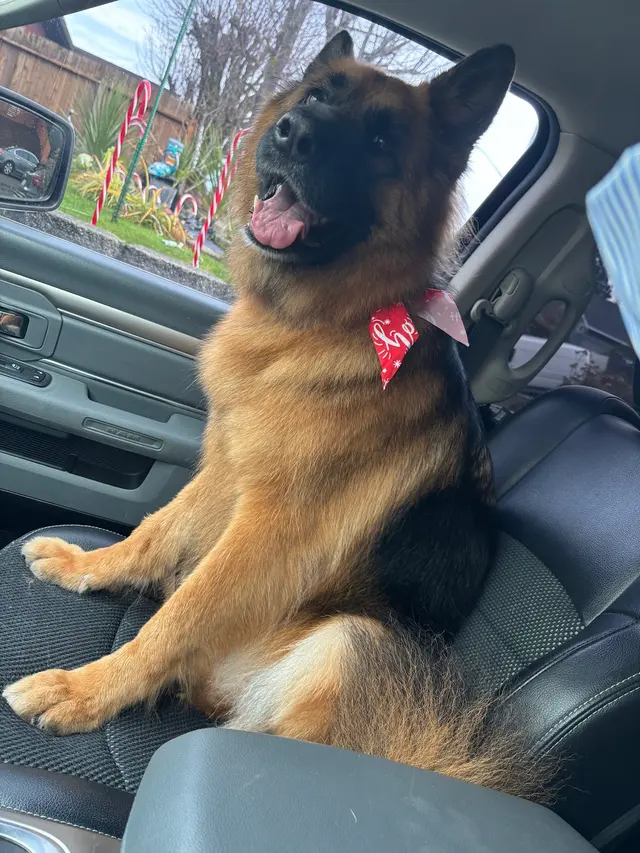 Customer photo from Sonya's review