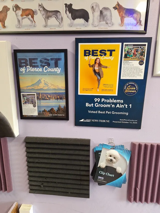 99 Problems But Groom'n Ain't 1 — photo from the business 10
