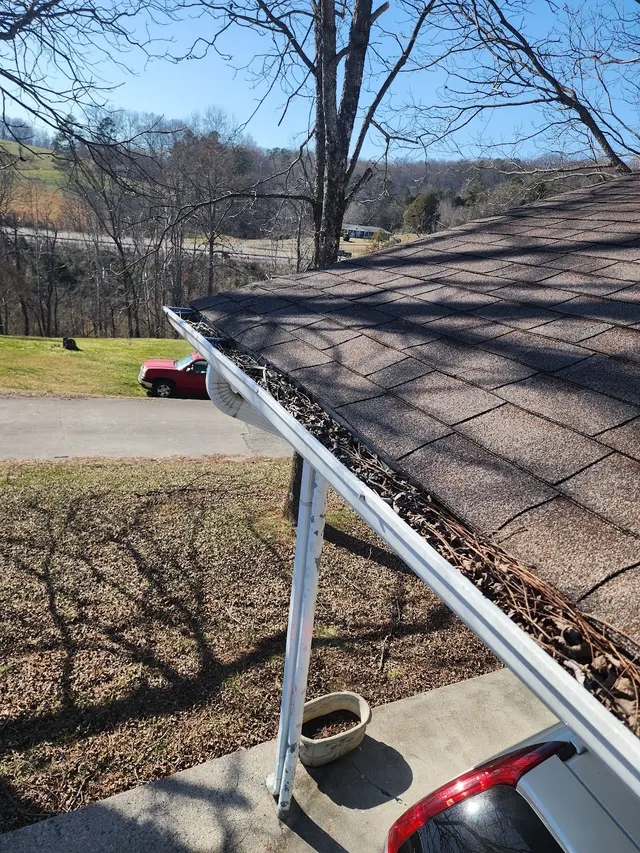 Leaf It to the Pros — photo from the business 2