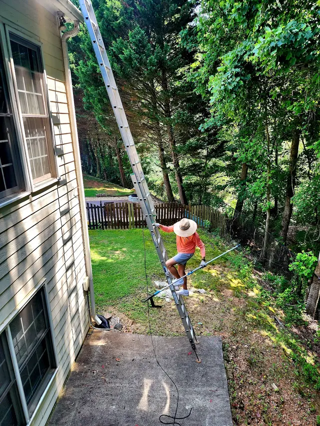 Leaf It to the Pros — photo from the business 11