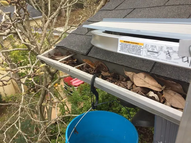 Leaf It to the Pros — customer photo 12