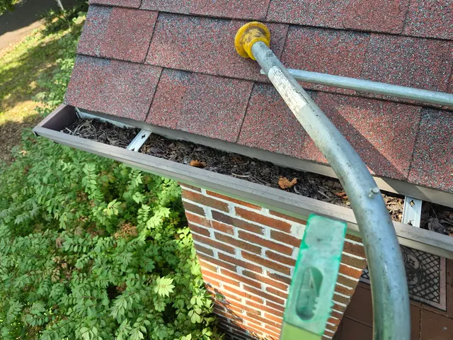 Leaf It to the Pros — photo from the business 1