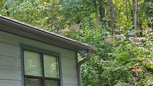 Leafguard of Knoxville — customer photo 7