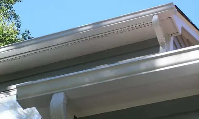 The Brothers That Just Do Gutters — photo from the business 8