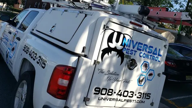 Universal Pest Control — photo from the business 1