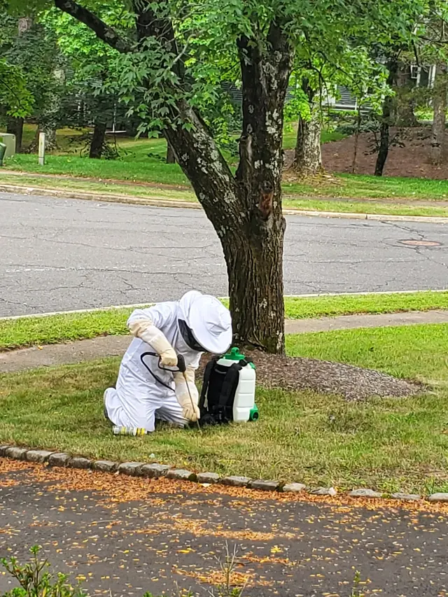 Universal Pest Control — customer photo 9