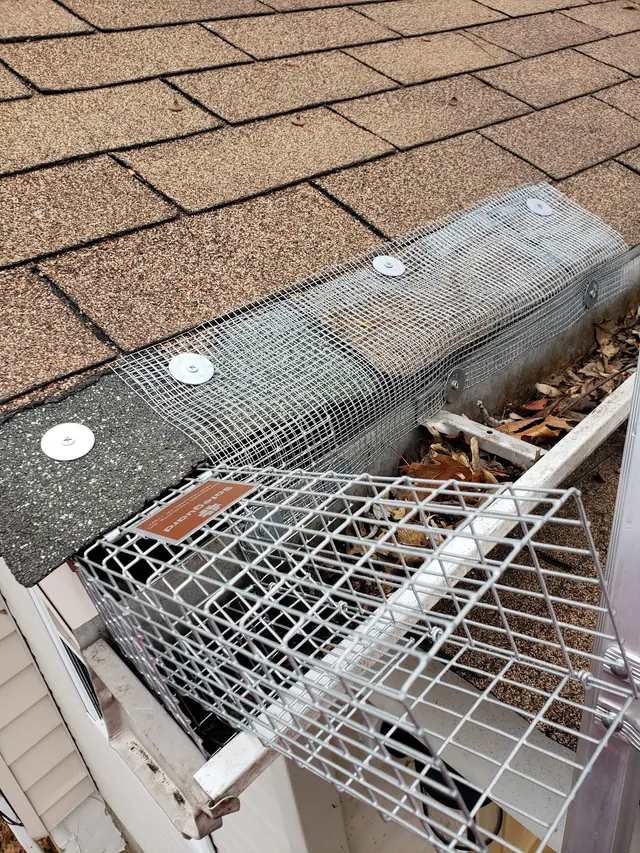 Universal Pest Control — photo from the business 6