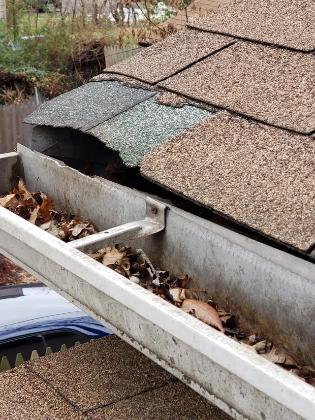 Universal Pest Control — photo from the business 7