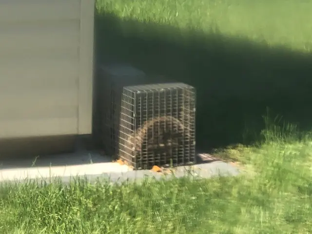 Universal Pest Control — customer photo 12