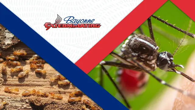 Bayonne Exterminating Company — photo from the business 12