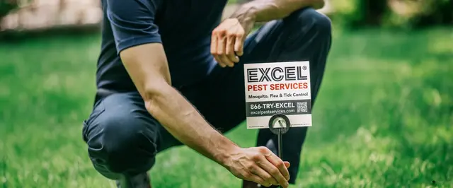 Excel Pest Services — photo from the business 7