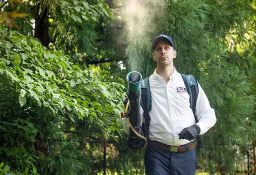 Excel Pest Services — photo from the business 4