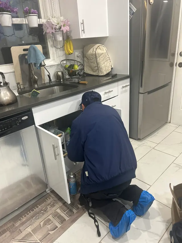 Excel Pest Services — customer photo 6