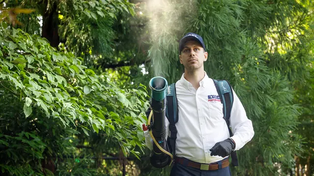 Excel Pest Services — photo from the business 5