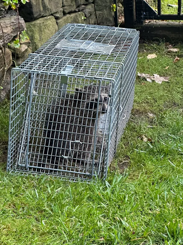 Excel Pest Services — customer photo 12