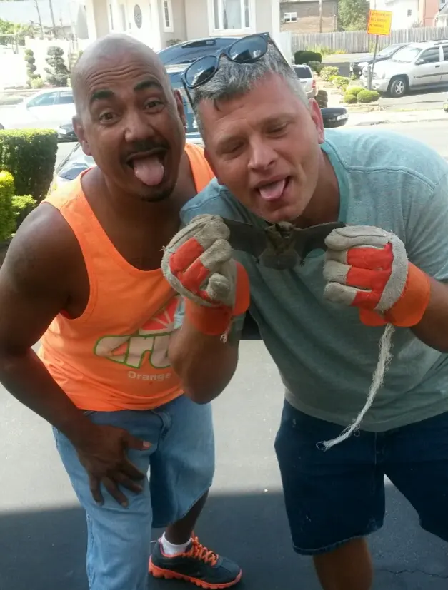 Superb Pest Control — photo from the business 4