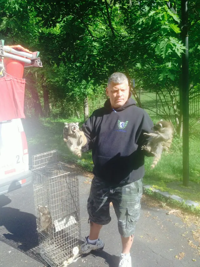 Superb Pest Control — photo from the business 3