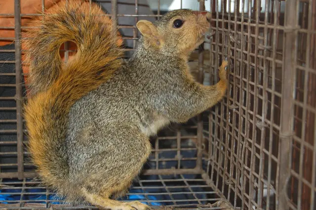 Proactive Pest Control — photo from the business 2