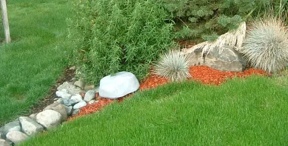 Proactive Pest Control — photo from the business 5