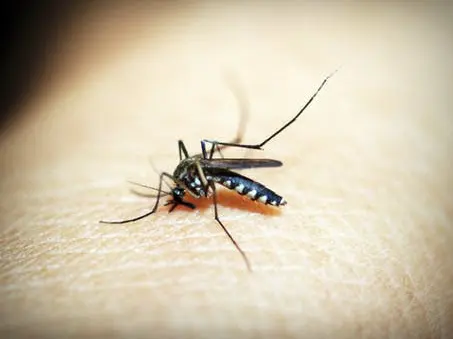 Environmina Pest Control LLC — photo from the business 2