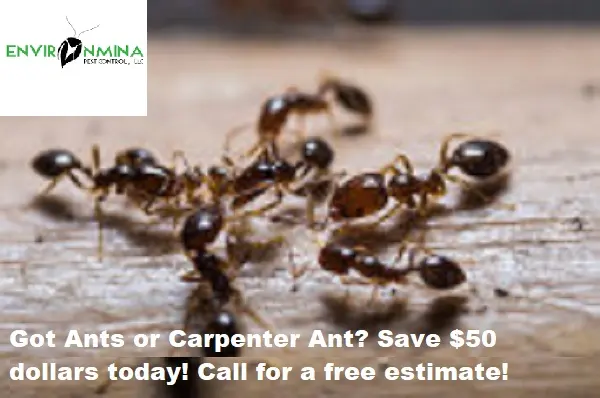 Environmina Pest Control LLC — photo from the business 6