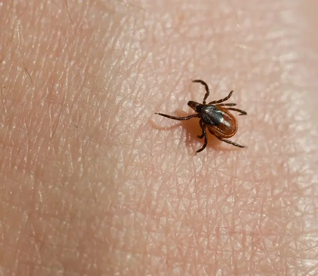 Environmina Pest Control LLC — photo from the business 7