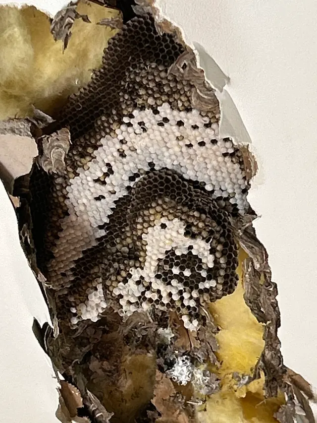Environmina Pest Control LLC — photo from the business 10
