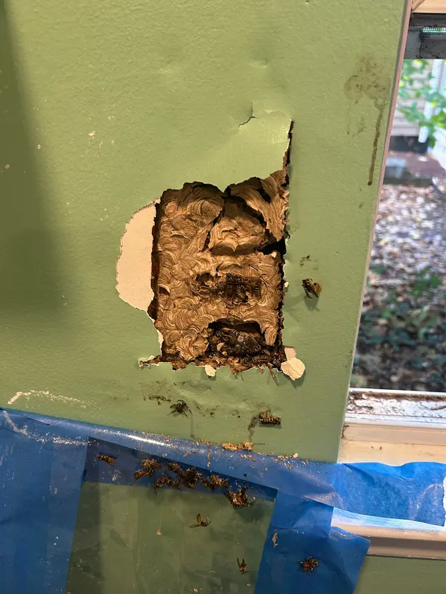 Environmina Pest Control LLC — photo from the business 5