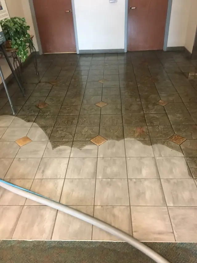 Eco Brite FL Carpet Cleaning & Power Washing — photo from the business 9