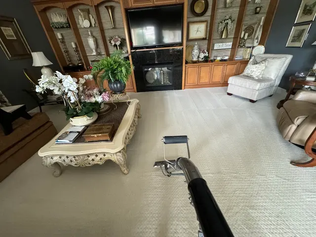 Eco Brite FL Carpet Cleaning & Power Washing — photo from the business 7