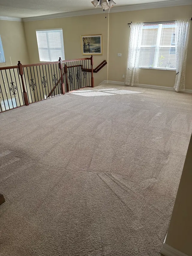 Eco Brite FL Carpet Cleaning & Power Washing — customer photo 2