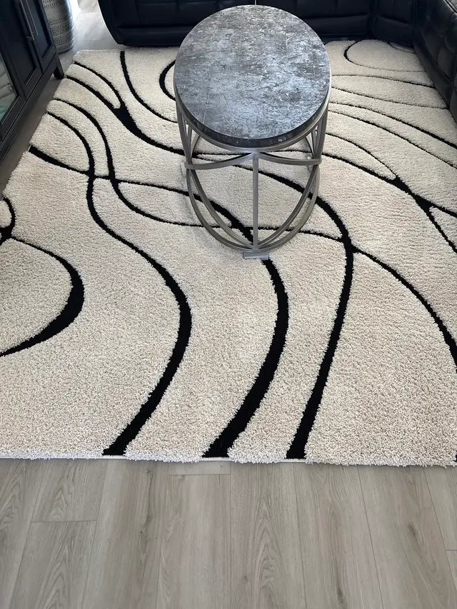 Stanley Steemer — customer photo 5