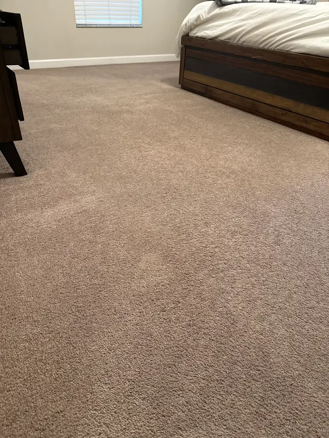 Stanley Steemer — customer photo 2