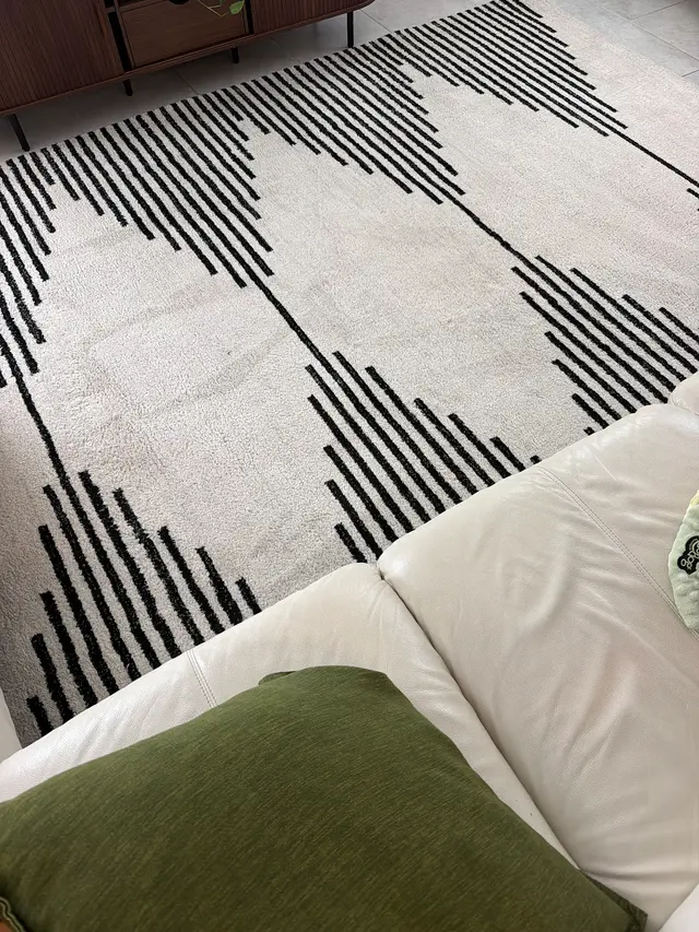 Customer photo of work by Carpet & Sofa Cleaning in Orlando - Dias Cleaning Pro Services, from Pro Design and Interiors's review