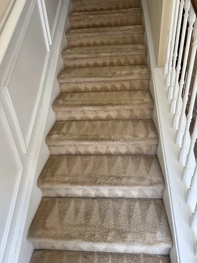 Carpet & Sofa Cleaning in Orlando - Dias Cleaning Pro Services — photo from the business 3