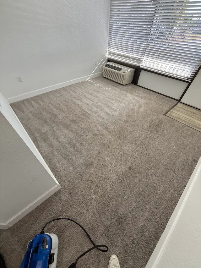 Carpet & Sofa Cleaning in Orlando - Dias Cleaning Pro Services — photo from the business 2