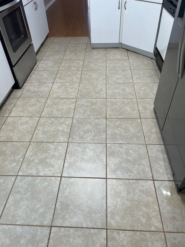 A Plus Carpet Cleaning — customer photo 7