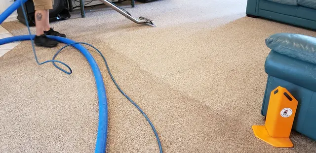 A Plus Carpet Cleaning — customer photo 5