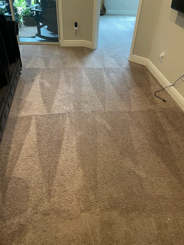 A Plus Carpet Cleaning — customer photo 1