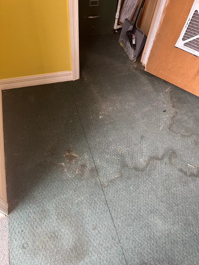 A Plus Carpet Cleaning — customer photo 11