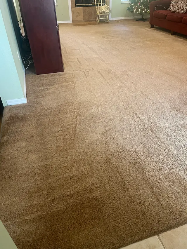 Jenbri Carpet Cleaning Clermont LLC — customer photo 3