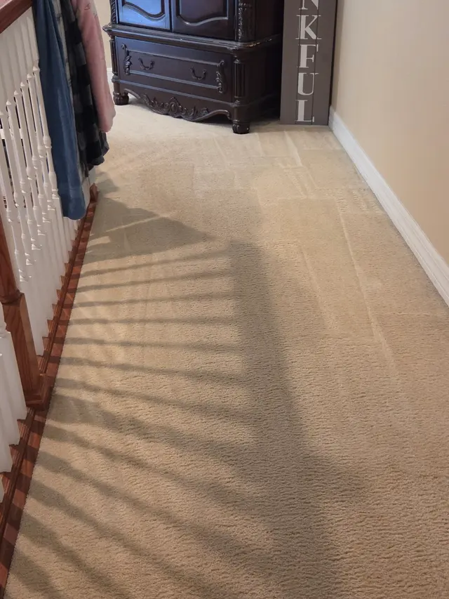 Jenbri Carpet Cleaning Clermont LLC — photo from the business 1