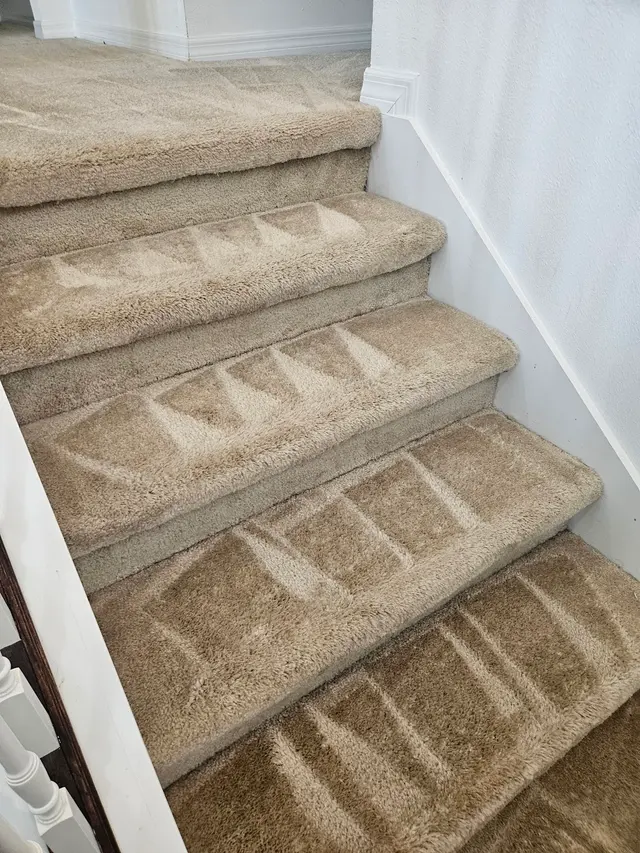 Jenbri Carpet Cleaning Clermont LLC — photo from the business 7