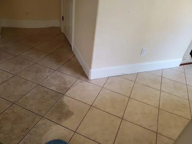Precision Pro Dry Carpet and Tiles Cleaning Service — photo from the business 5