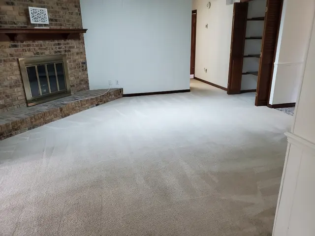 Precision Pro Dry Carpet and Tiles Cleaning Service — photo from the business 8